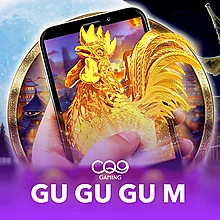 Starlight Princess Christmas