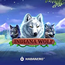 The Dog House Megaways