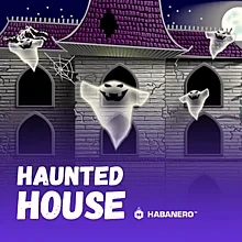 The Dog House - Dog or Alive