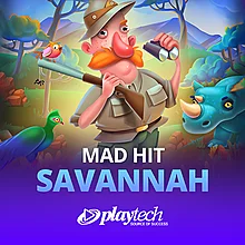 The Dog House - Dog or Alive